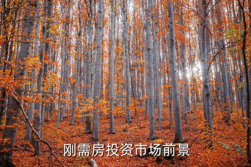 刚需房投资市场前景