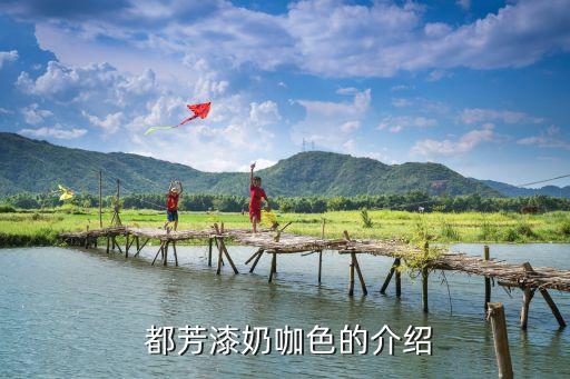 都芳漆奶咖色的介绍