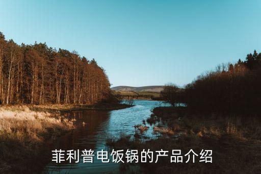 菲利普电饭锅的产品介绍