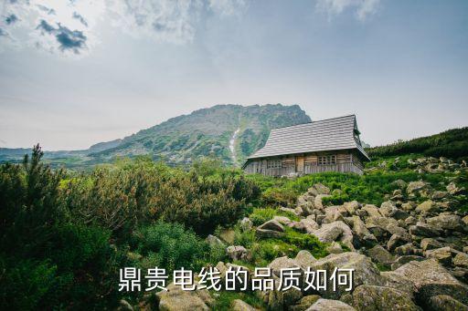 鼎贵电线的品质如何