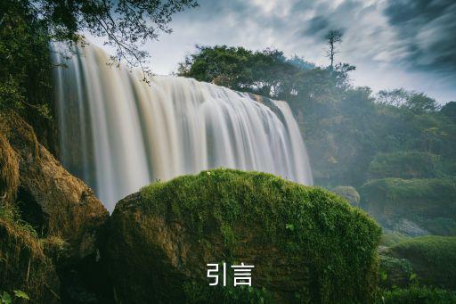 引言