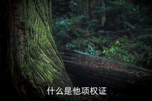 什么是他项权证