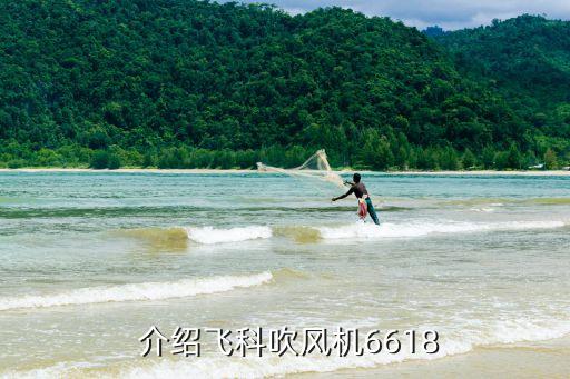 介绍飞科吹风机6618