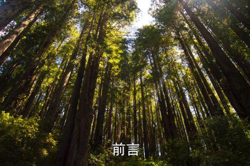 前言