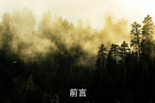 前言