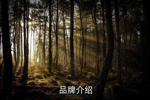 品牌介绍