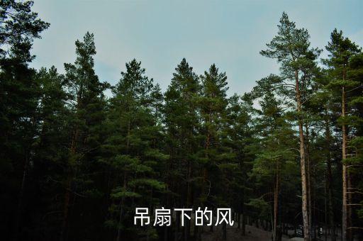 吊扇下的风