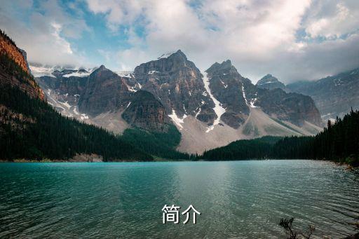 简介
