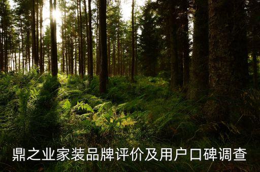 鼎之业家装品牌评价及用户口碑调查