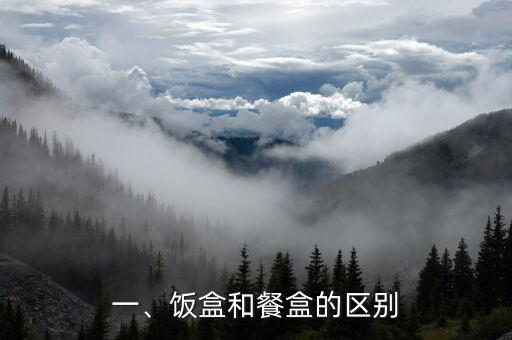 一、饭盒和餐盒的区别