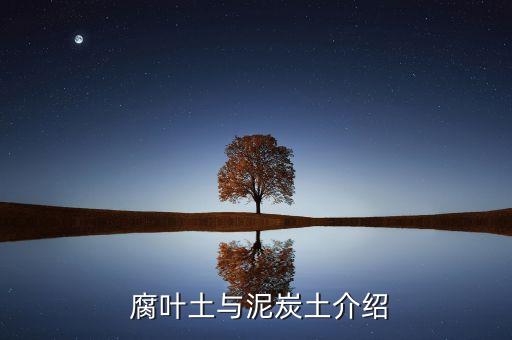 腐叶土与泥炭土介绍