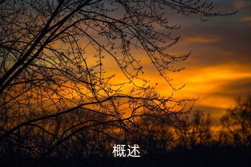 概述