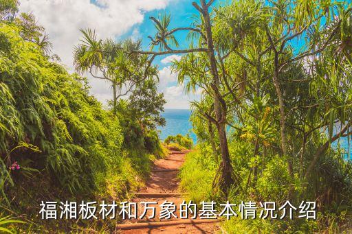 福湘板材和万象的基本情况介绍