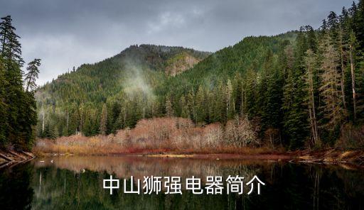 中山狮强电器简介
