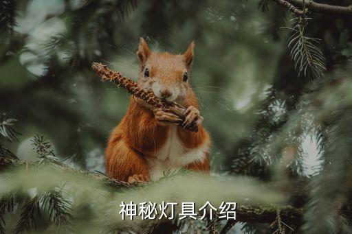 神秘灯具介绍