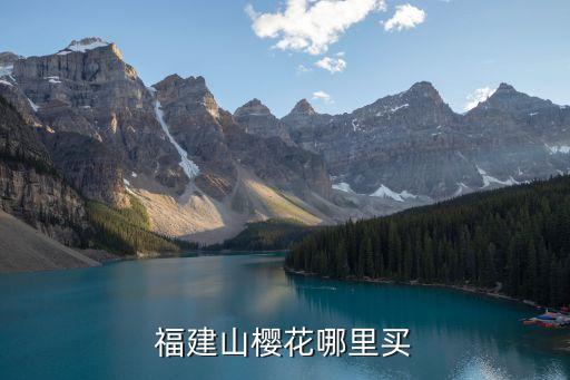 福建山樱花哪里买