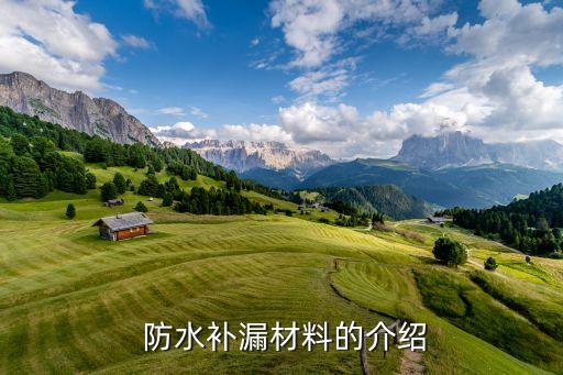防水补漏材料的介绍