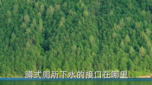 蹲式厕所下水的接口在哪里