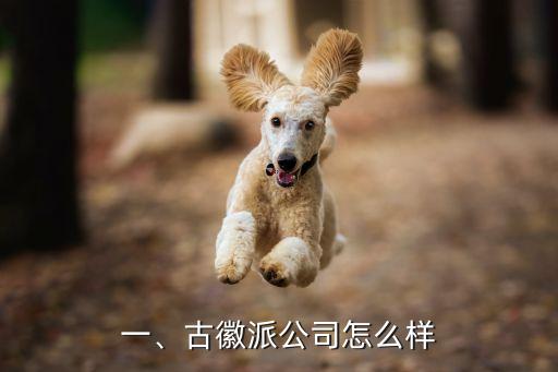 一、古徽派公司怎么样