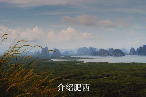 介绍肥西