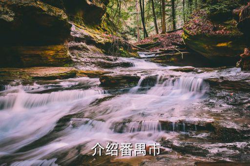 介绍番禺市