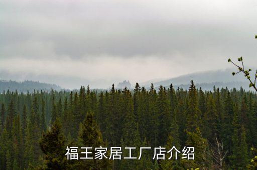 福王家居工厂店介绍