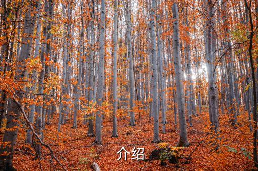 介绍