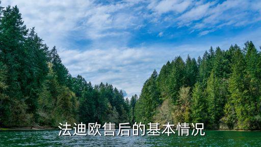 法迪欧售后的基本情况