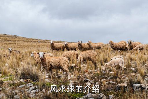 风水球的介绍