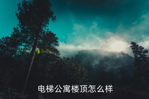 电梯公寓楼顶怎么样