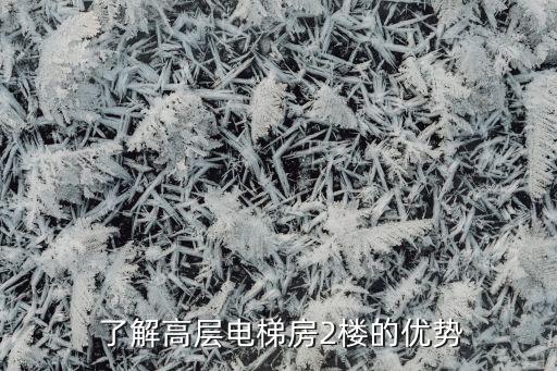 了解高层电梯房2楼的优势