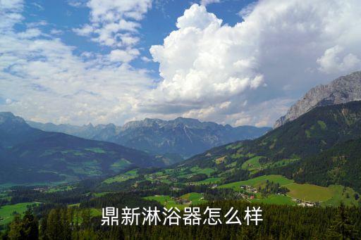 鼎新淋浴器怎么样