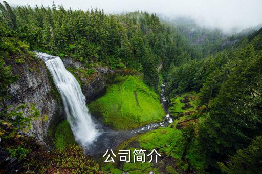 公司简介