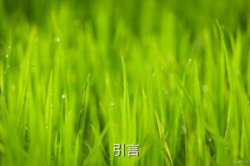 引言