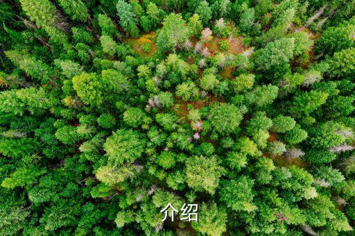 介绍