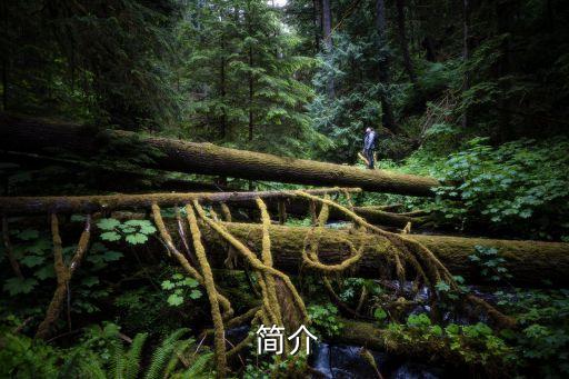 简介