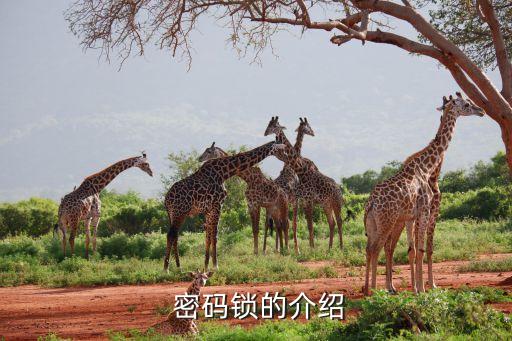 密码锁的介绍