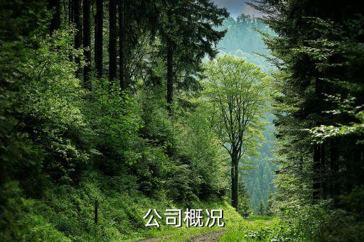 公司概况