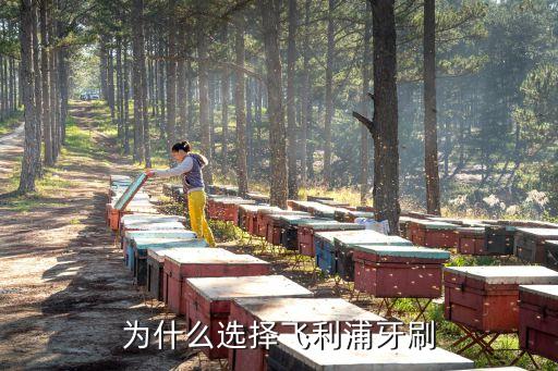 为什么选择飞利浦牙刷