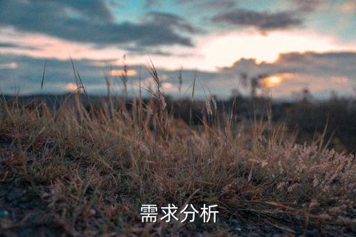 需求分析