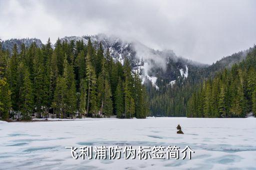 飞利浦防伪标签简介