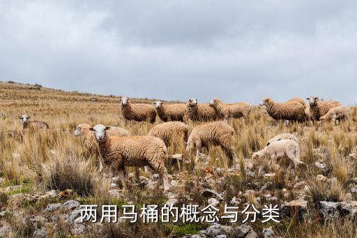 两用马桶的概念与分类