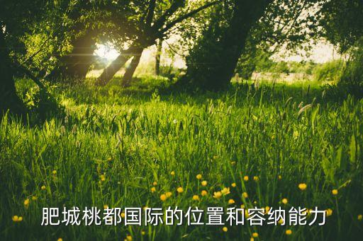 肥城桃都国际的位置和容纳能力