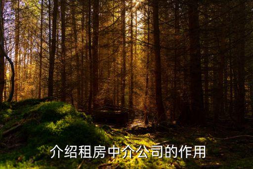 介绍租房中介公司的作用