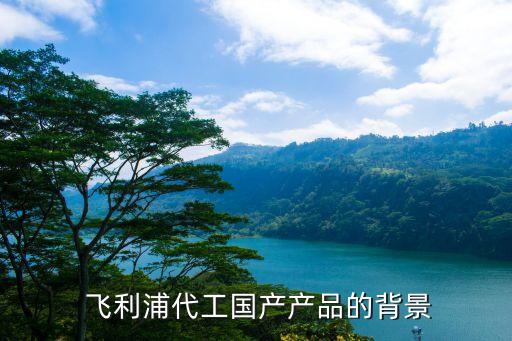 飞利浦代工国产产品的背景