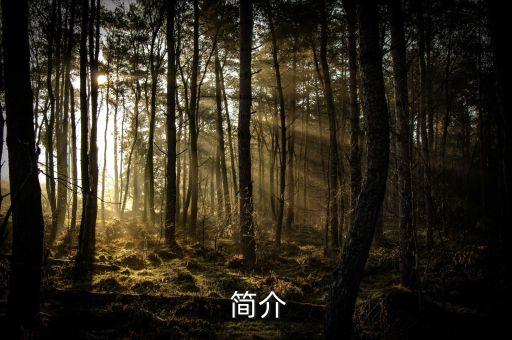 简介