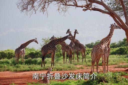 南宁折叠沙发床简介