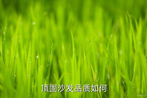 顶固沙发品质如何