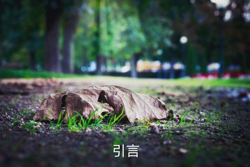 引言