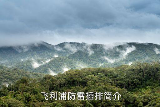 飞利浦防雷插排简介